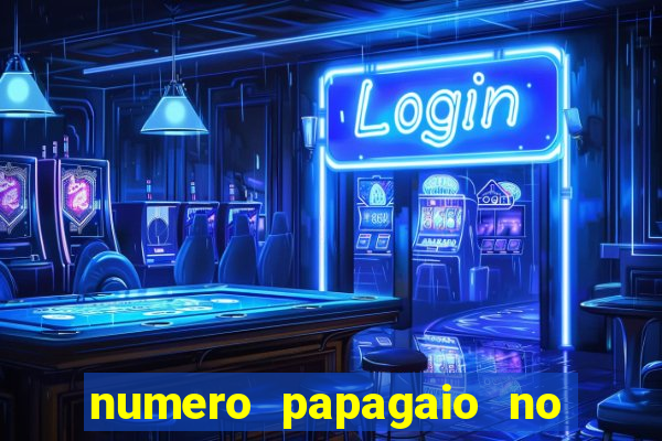 numero papagaio no jogo do bicho